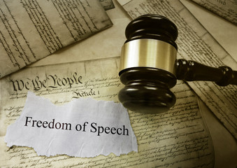 The First Amendment provides that Congress make no law respecting an establishment of religion or prohibiting its free exercise. It protects freedom of speech, the press, assembly, and the right to petition the Government for a redress of grievances.