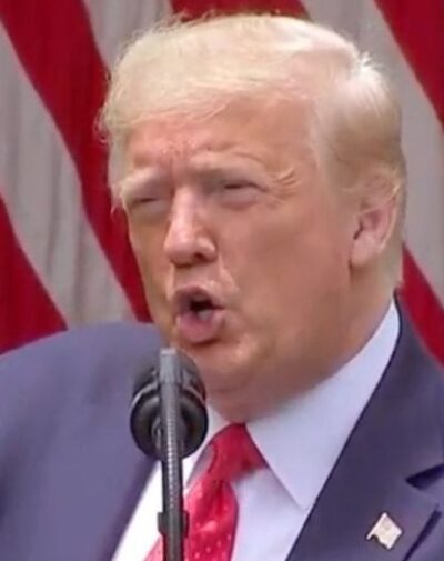 What has been Donald Trump's real agenda as President?